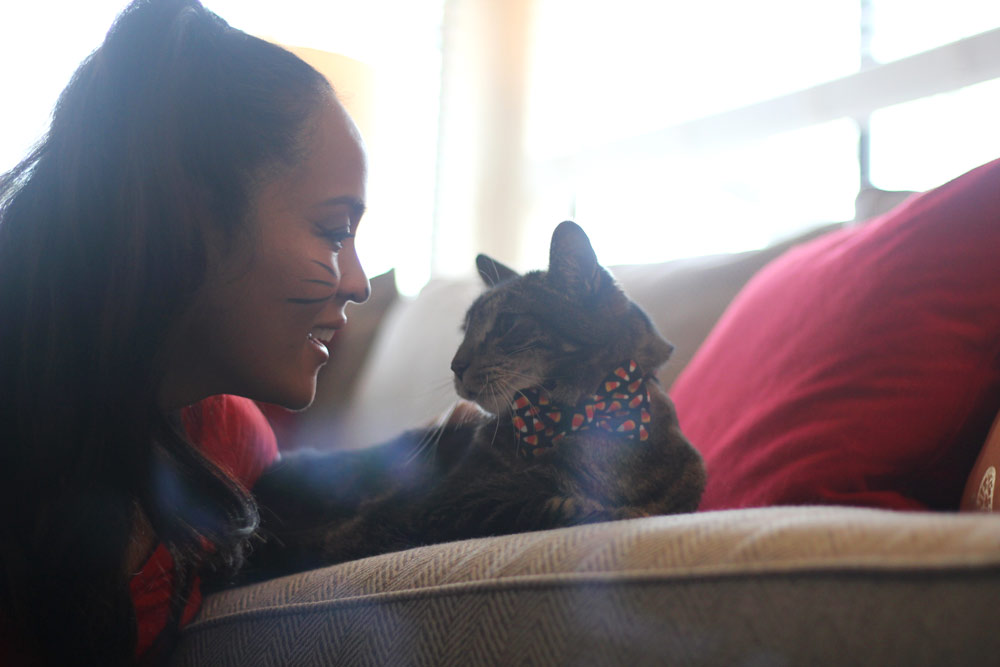 sundays with tabs the cat makeup and beauty blog mascot vol 876