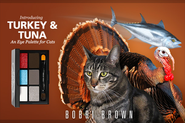 sundays with tabs the cat makeup and beauty blog mascot vol 877
