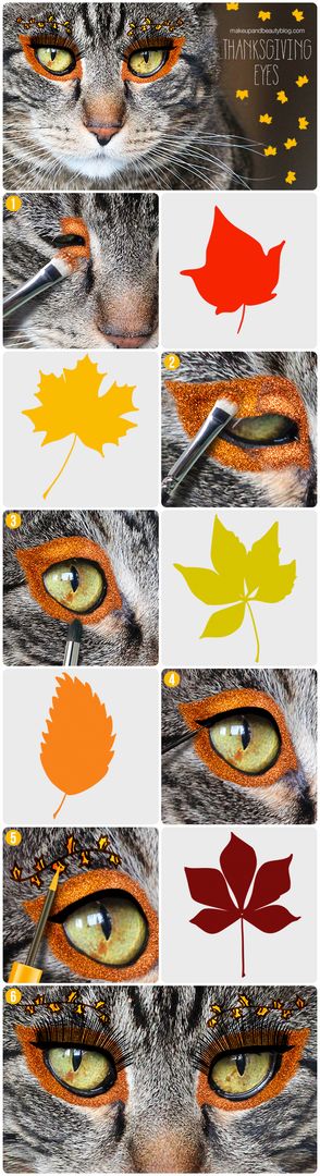 sundays with tabs the cat makeup and beauty blog mascot vol 877