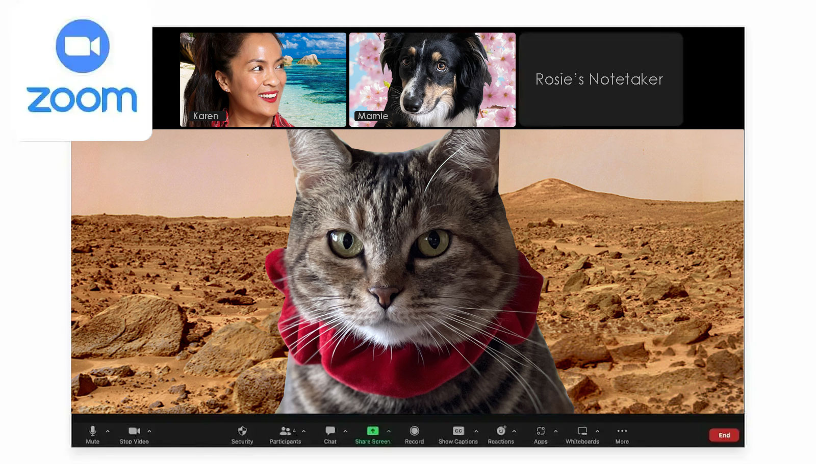 Sundays With Tabs the Cat, Makeup and Beauty Blog Mascot, Vol. 878
